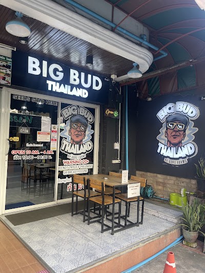 Big Bud Thailand Pattaya - Cannabis & Weed Shop — cannabis dispensary in Central Pattaya, Pattaya