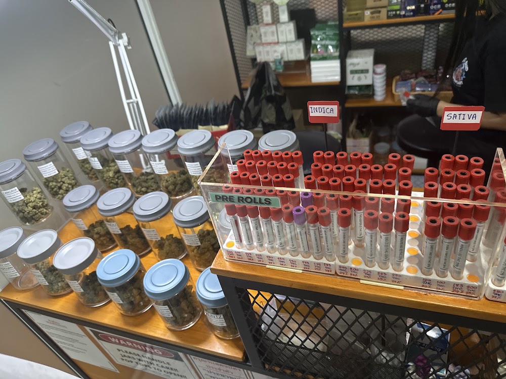 Big Bud Thailand Pattaya - Cannabis & Weed Shop - photo 2