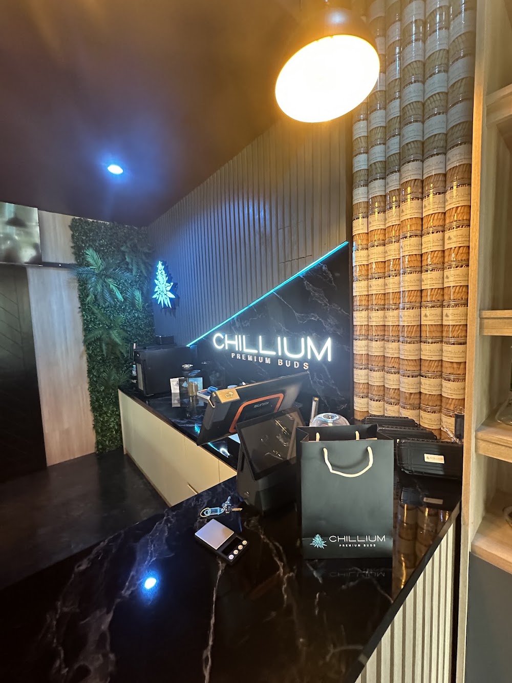 Chillium - photo 4