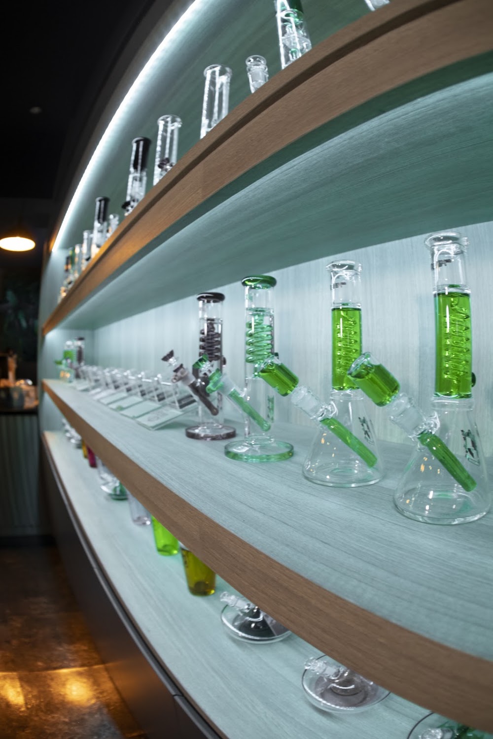 Chillium - photo 5