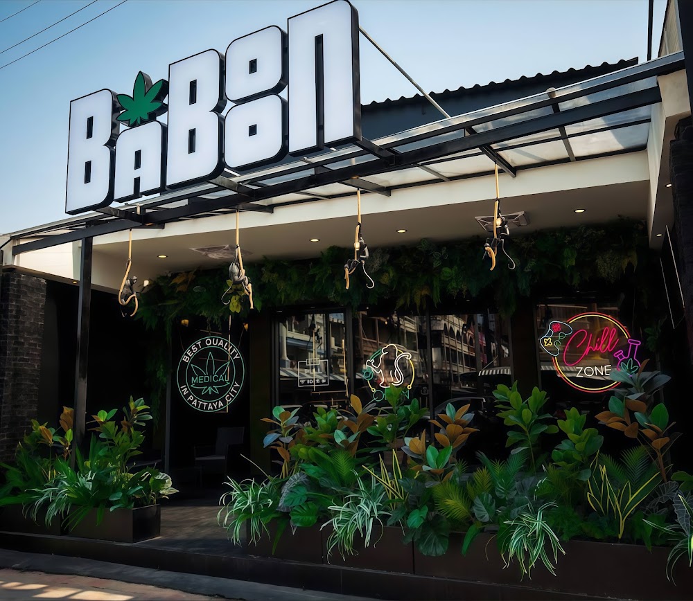 Baboon – Cannabis Dispensary & Lounge - photo 1