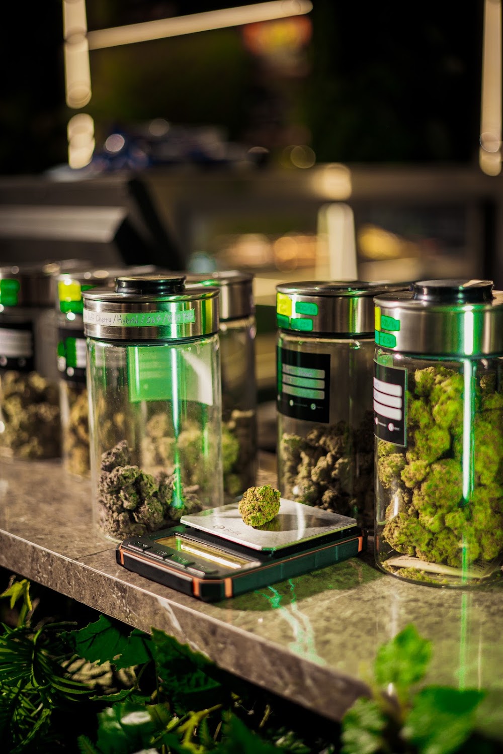 Baboon – Cannabis Dispensary & Lounge - photo 4