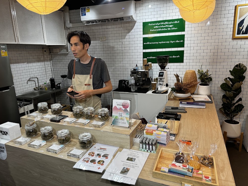 KOKORO: weed cafe Bar:cannabis ChiangMai - photo 2