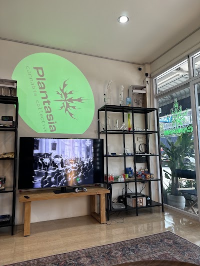 Plantasia — Cannabis Weed Shop — cannabis dispensary in Srithanu, Koh Phangan