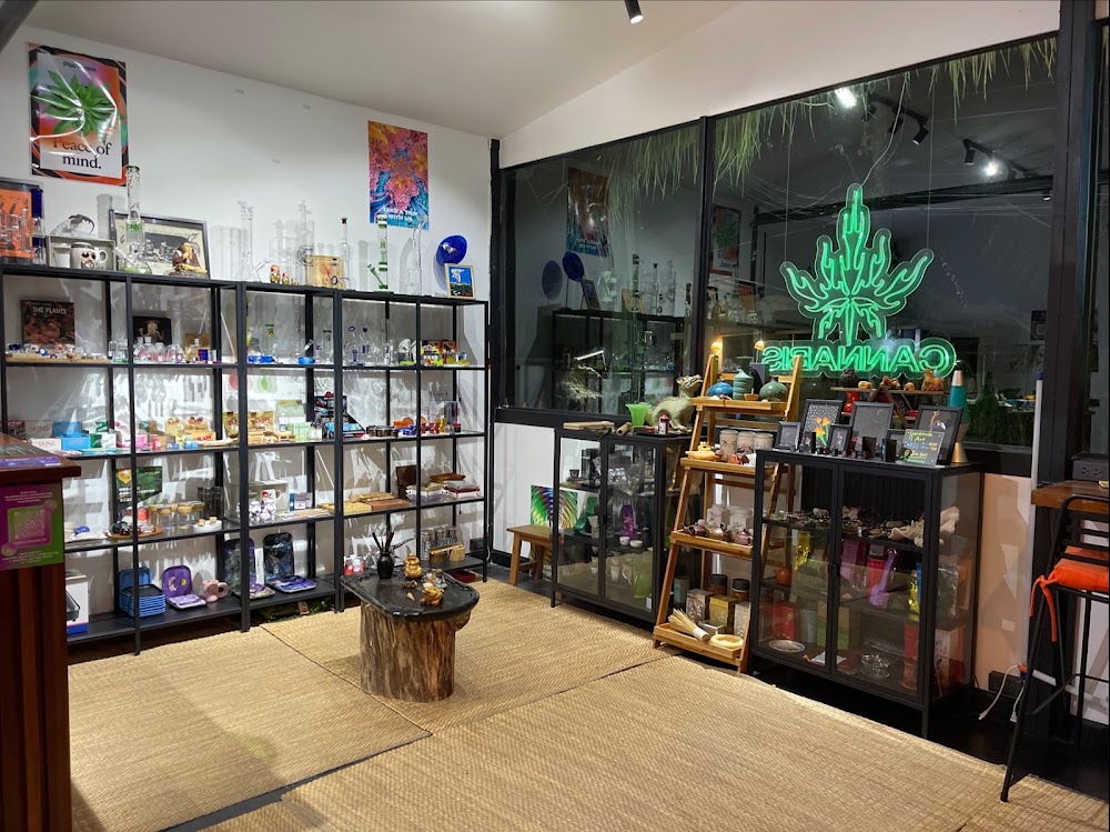 Plantasia — Cannabis Weed Shop - photo 5