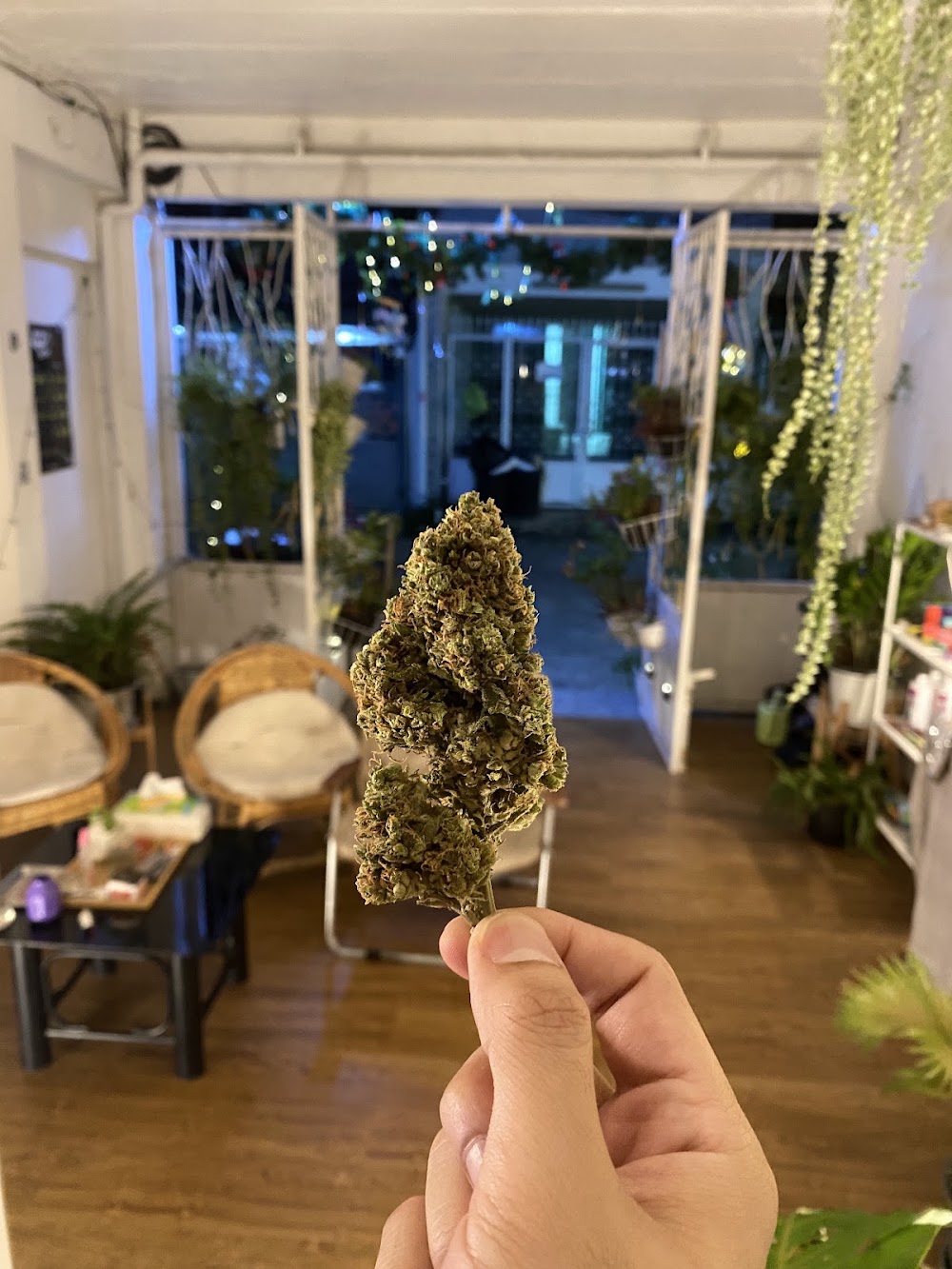 Shaggy Buds Weed Shop. - photo 4