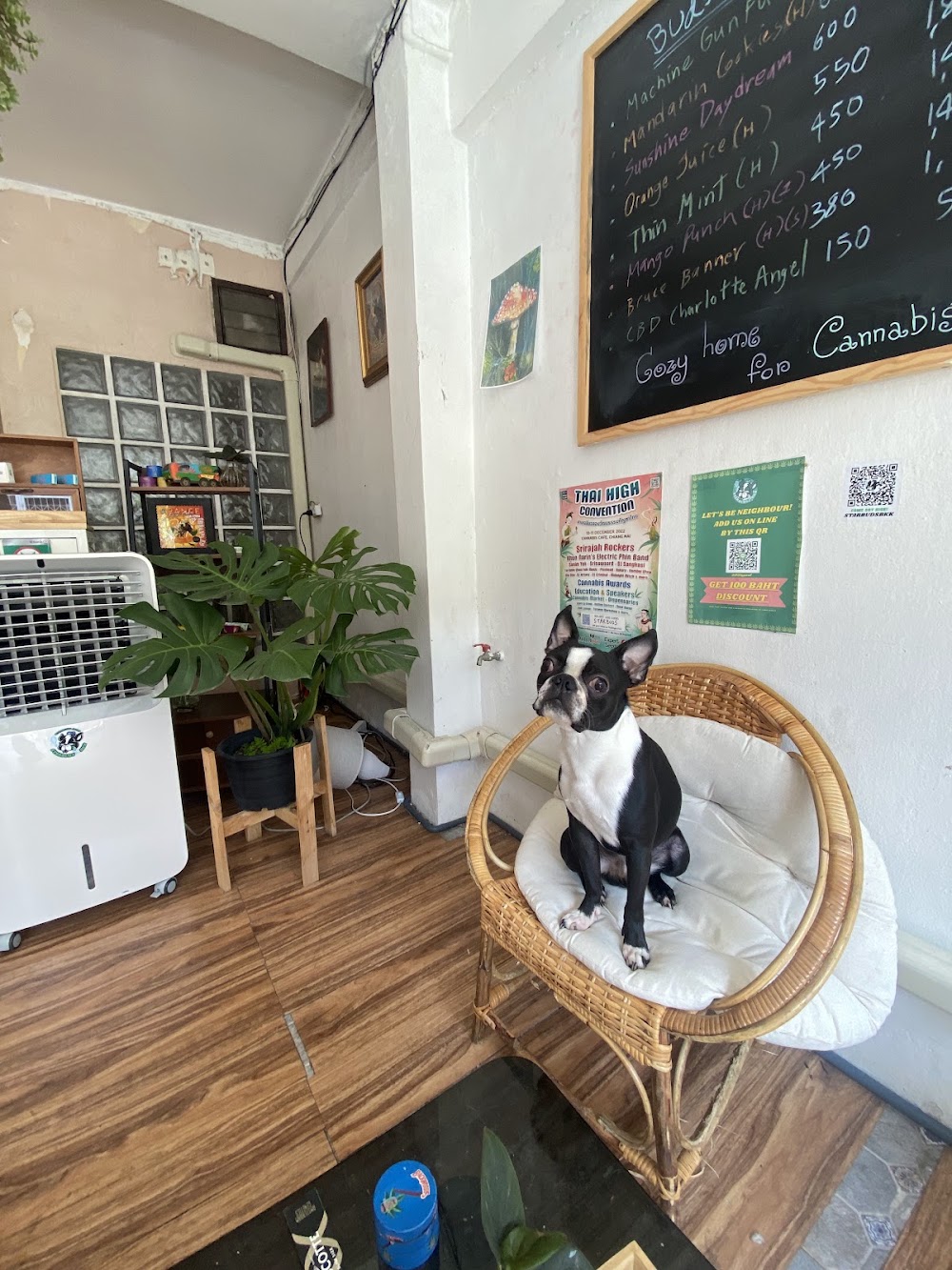Shaggy Buds Weed Shop. - photo 5