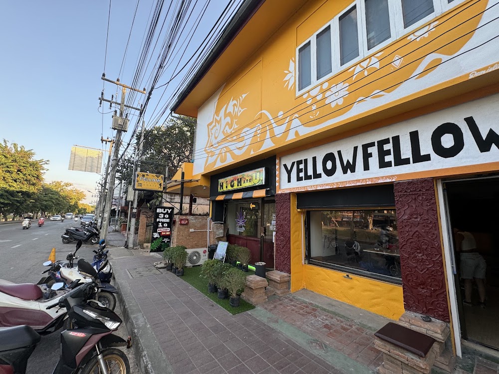 Weed Shop Superbud @Chang Phueak Gate - Cannabis dispensary 大麻 конопля - photo 1
