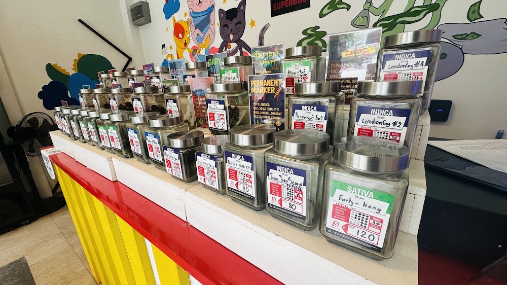 Weed Shop Superbud @Chang Phueak Gate - Cannabis dispensary 大麻 конопля - photo 2