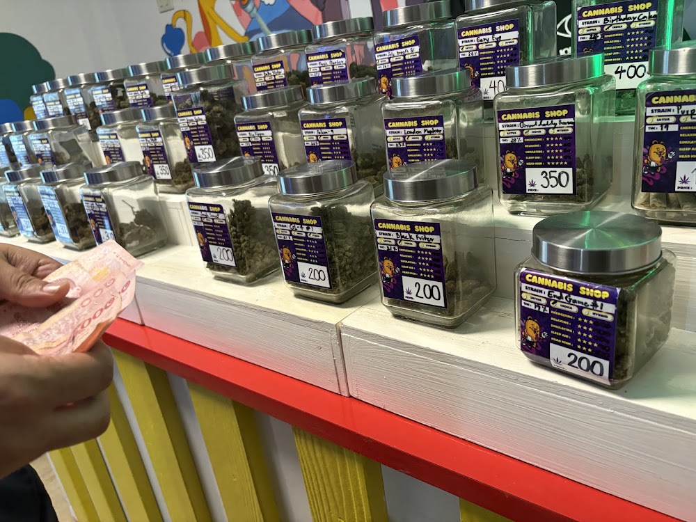 Weed Shop Superbud @Chang Phueak Gate - Cannabis dispensary 大麻 конопля - photo 4