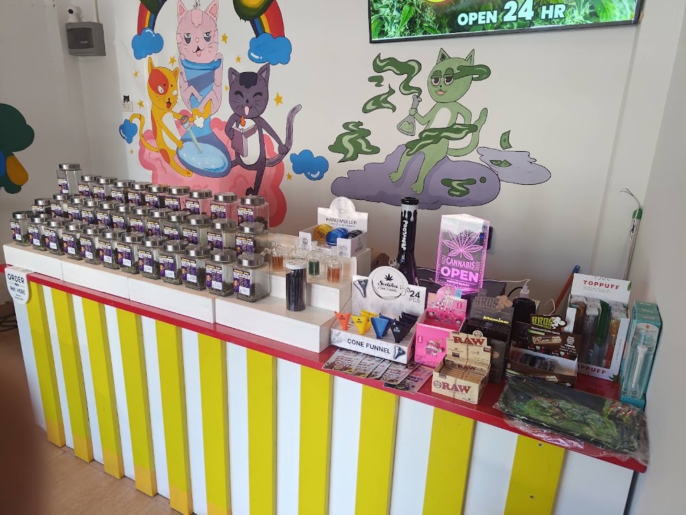 Weed Shop Superbud @Chang Phueak Gate - Cannabis dispensary 大麻 конопля - photo 5