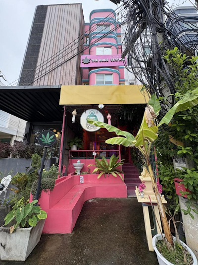 The buds station (weed cannabis dispensary ร้านขายกัญชา) — cannabis dispensary in Chang Phueak, Chiang Mai