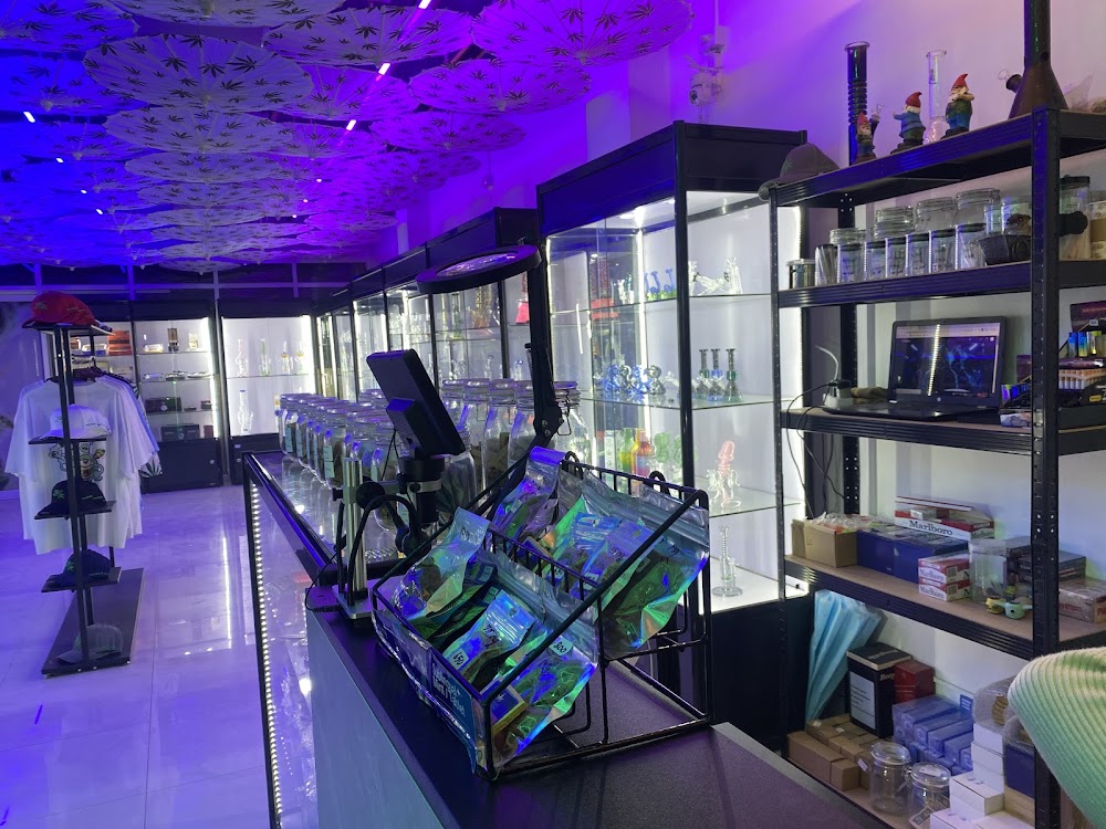 THC Thai High Corporation - Cannabis & Coffee Shop - photo 4