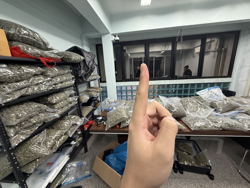 Jesson’s Weed Wholesale - photo 4