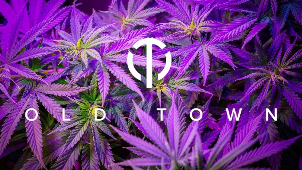 The OT Dispensary - OLD TOWN - photo 2