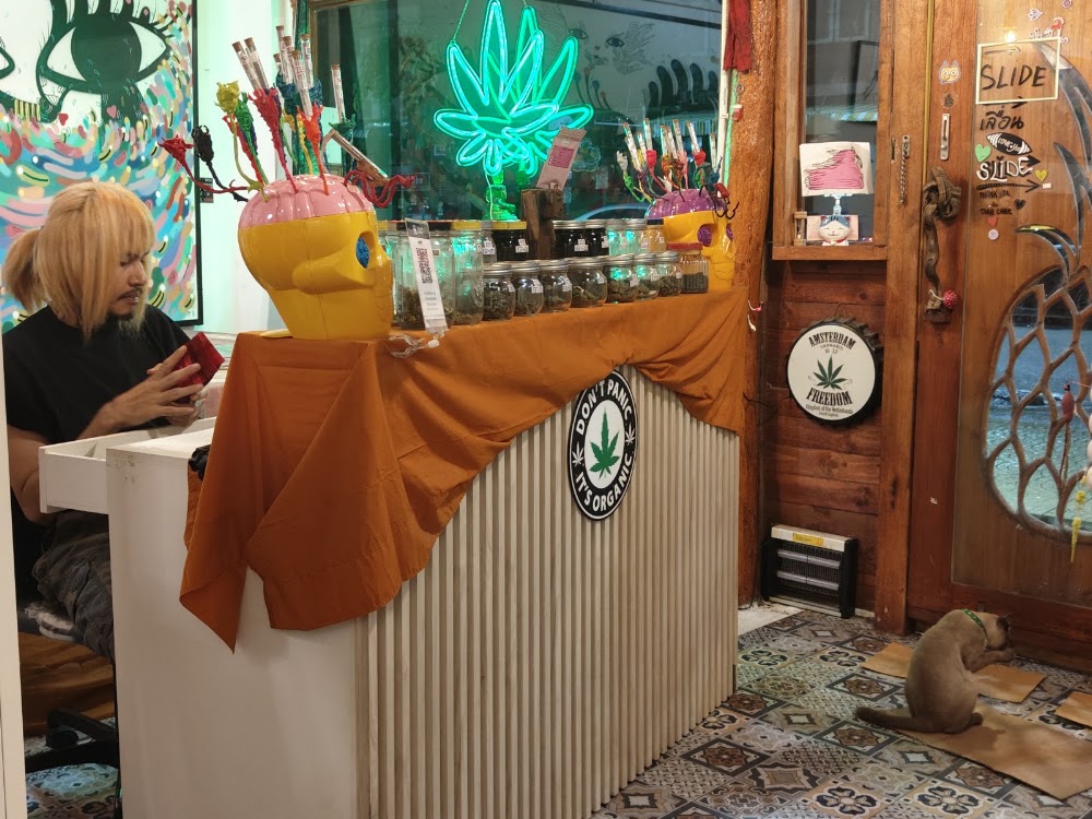 GTO cannabis and galleries - photo 2