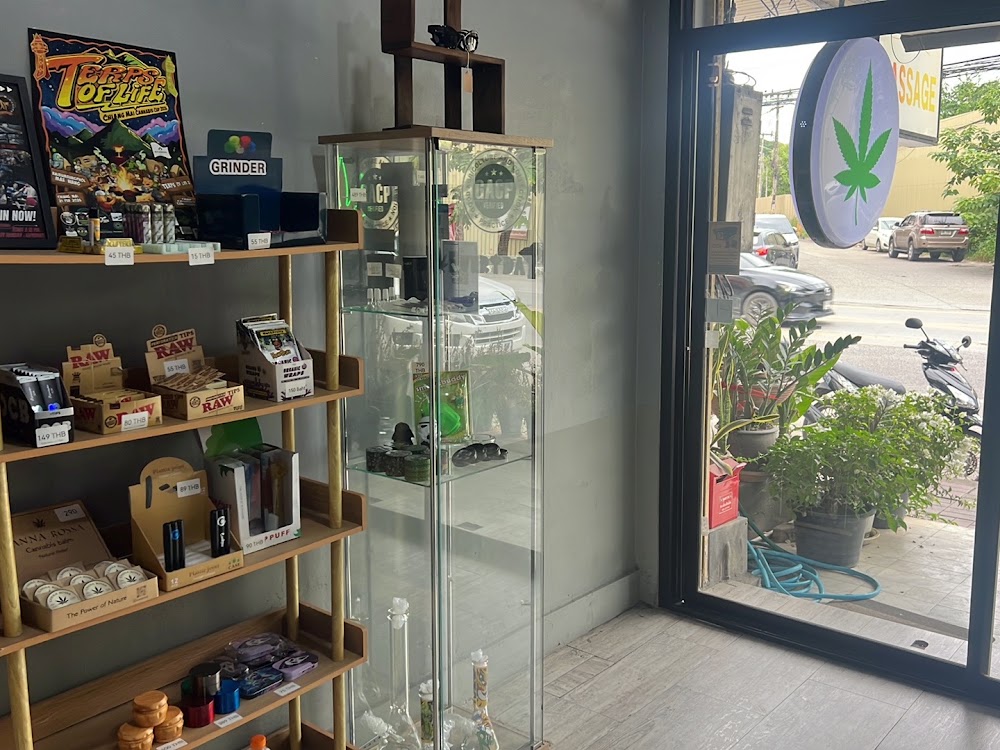 Weed Every day Cannabis shop cnx 大麻 marijuana - photo 3