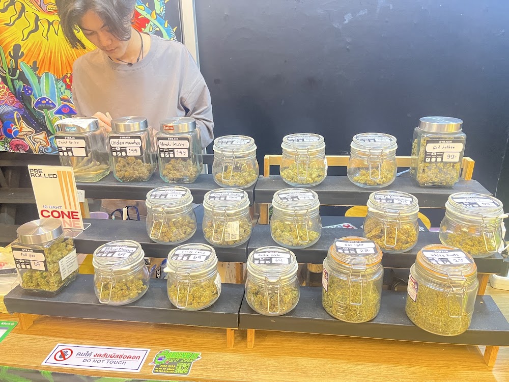 Green Way 420 CNX – Weed Shop Santitham Chiang Mai - photo 5