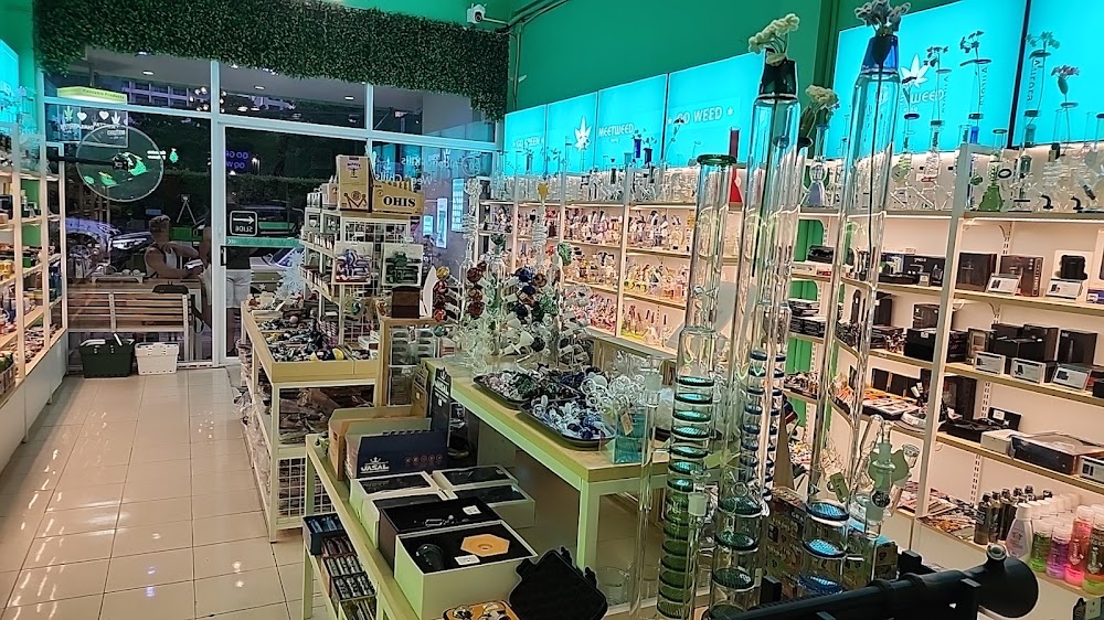 Slap (สแล๊บ) Jomtien - Cannabis/Weed/Ganja Dispensary - photo 2