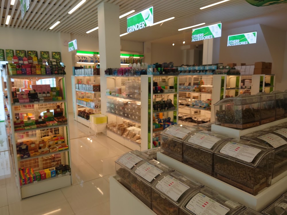Slap (สแล๊บ) Jomtien - Cannabis/Weed/Ganja Dispensary - photo 3
