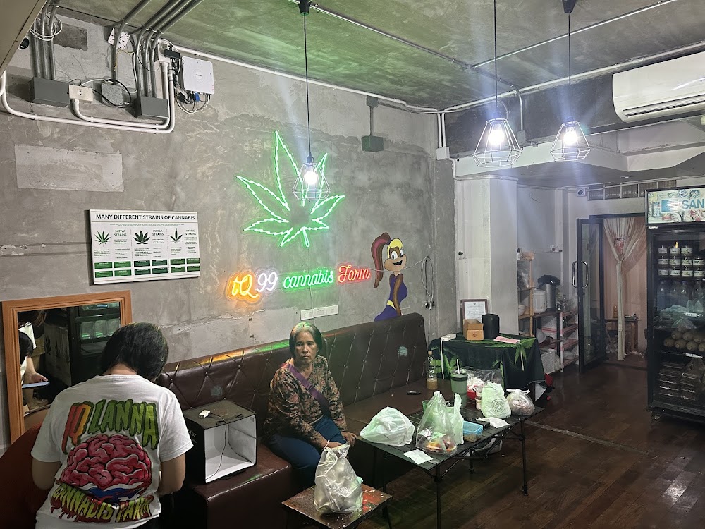 iQ99 CANNABIS FARM - photo 2