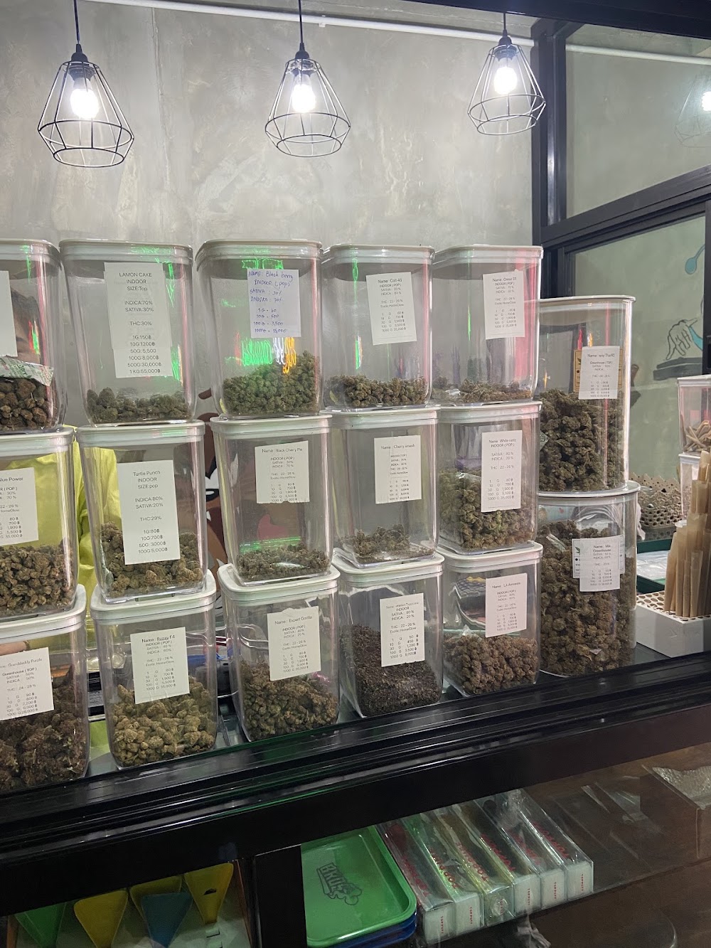 iQ99 CANNABIS FARM - photo 3