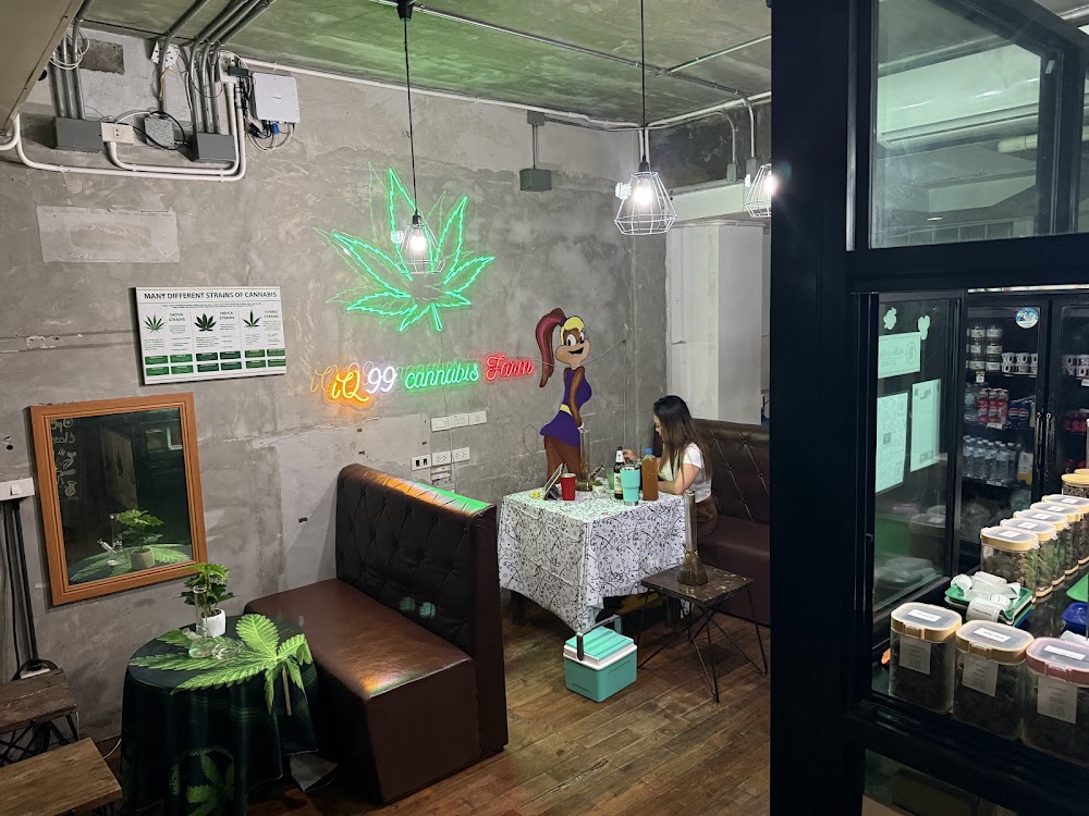 iQ99 CANNABIS FARM - photo 5