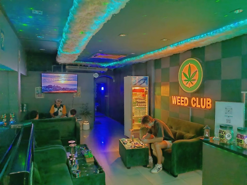 Weed Club Pattaya – Best Cannabis Shop & Dispensary (Open 24/7) - photo 3