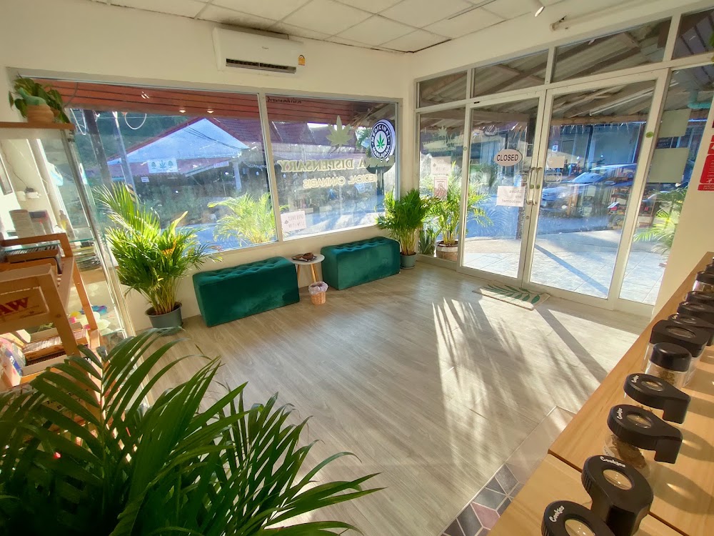 Kanna Dispensary Cannabis 1 (Srithanu) - photo 2