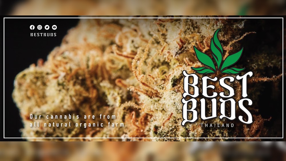 Best Buds - photo 3