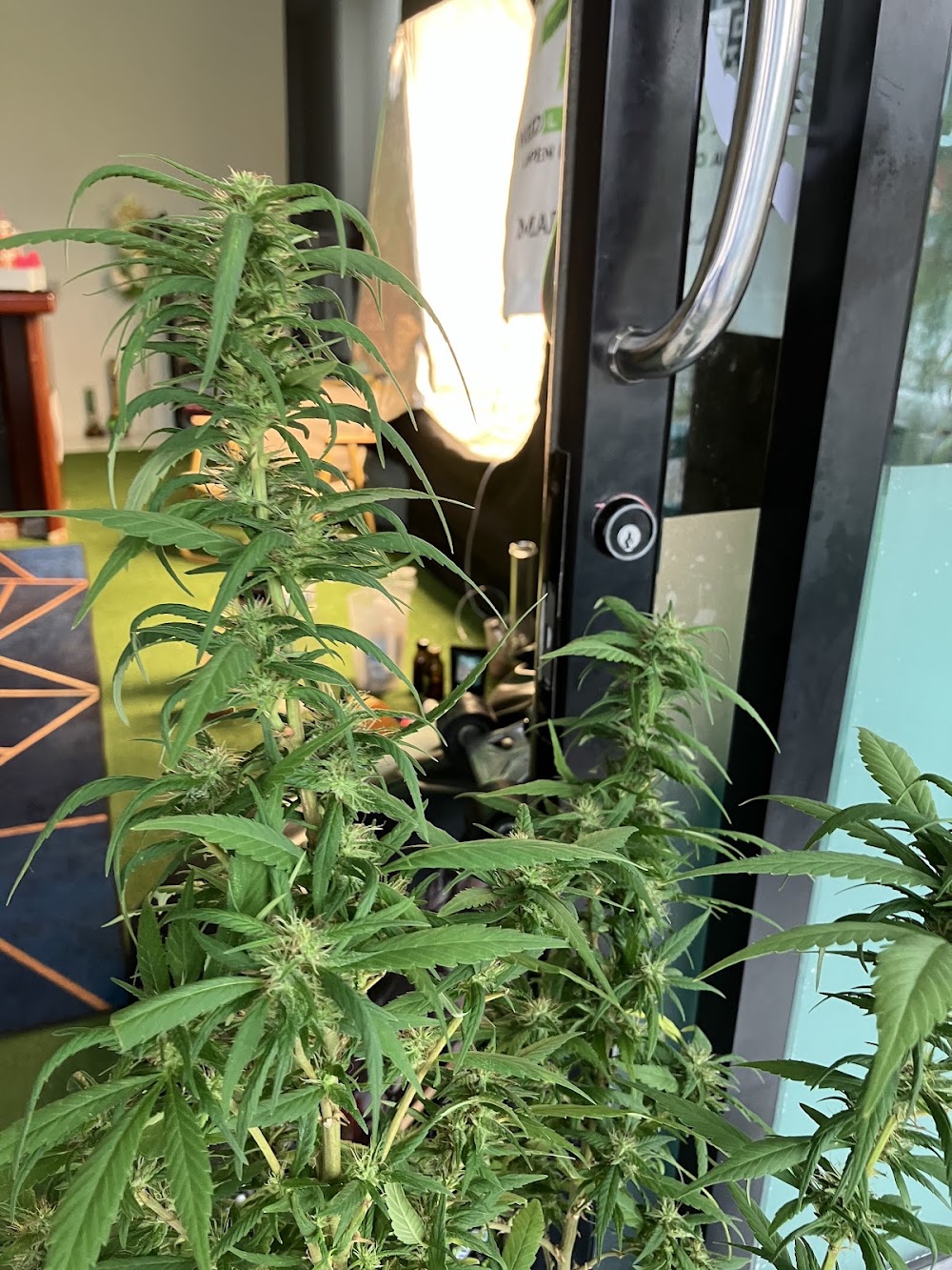 HIGH-BRO Cannabis Dispensary & Weed shop - photo 3