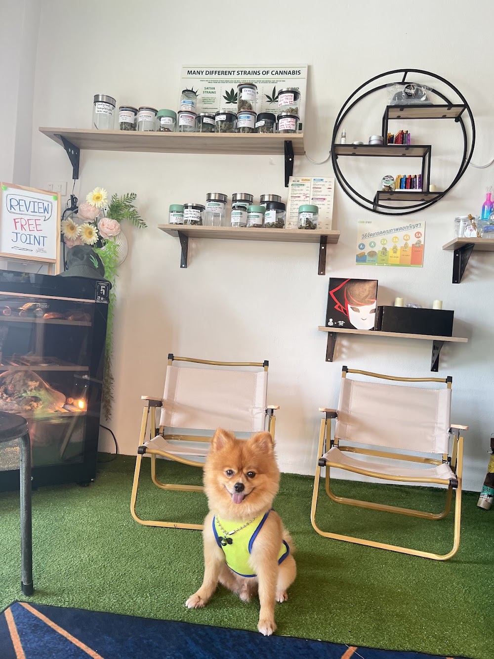 HIGH-BRO Cannabis Dispensary & Weed shop - photo 5