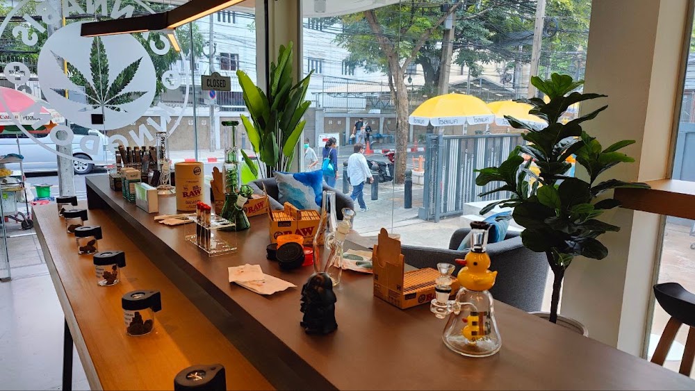 CANNABIS KINGDOM Dispensary & X2O Cafe - photo 3