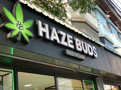 Haze Buds — Sridonchai — cannabis dispensary in Night Bazaar, Chiang Mai