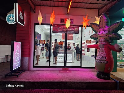 High Season Wellness Cannabis Dispensary, Koh Phi Phi — cannabis dispensary in Koh Phi Phi, Krabi