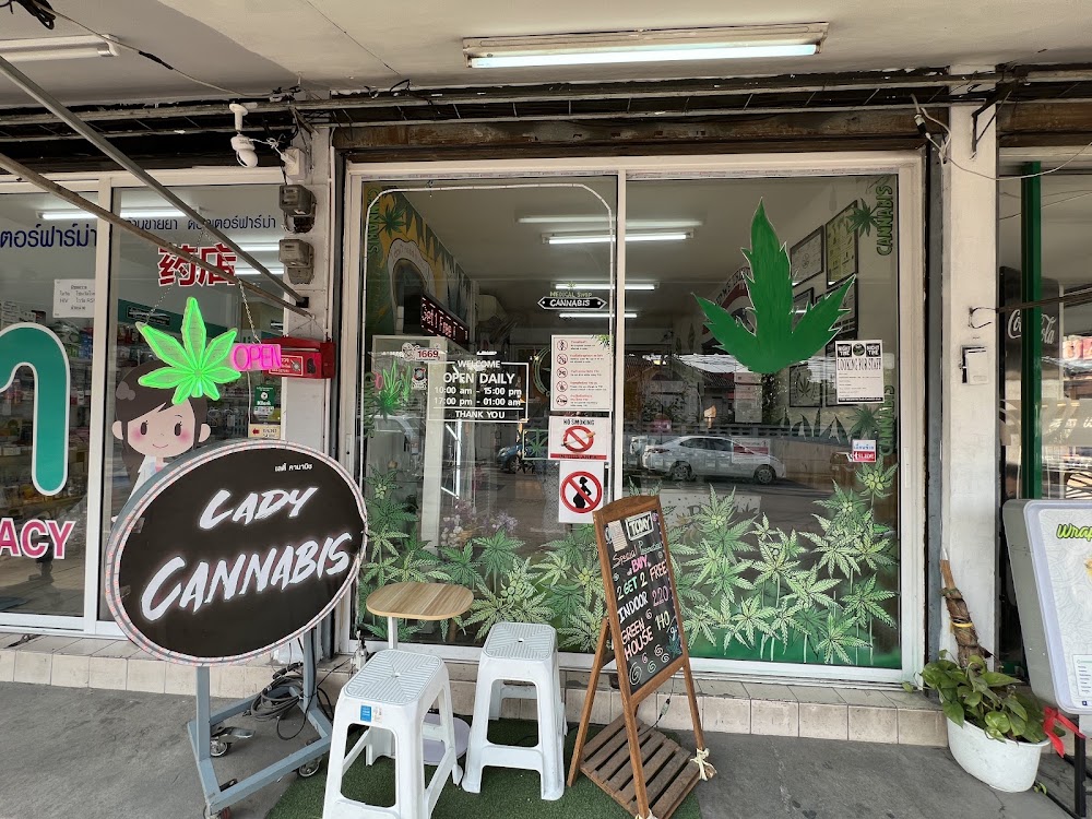 Lady cannabis - photo 1