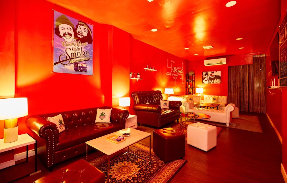 Up In Smoke Cannabis Weed Shop - photo 2