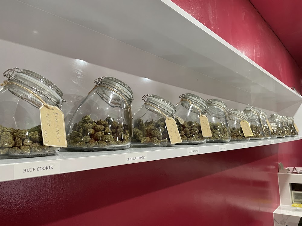 Up In Smoke Cannabis Weed Shop - photo 4